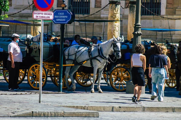 Seville Spain September 2021 Horse Drawn Carriage Ride Streets Seville — Stock Photo, Image