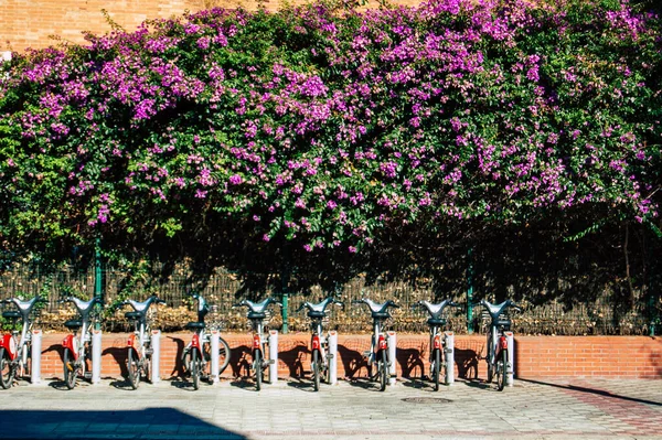 Sevilla Spanien September 2021 Tillgängliga Cyklar Att Hyra För Korta — Stockfoto