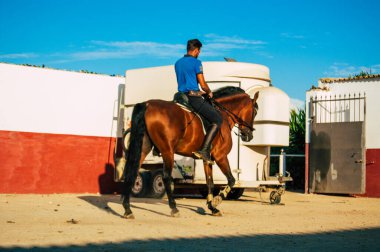 Seville İspanya 15 Eylül 2021 Güney İspanya 'da bir çiftlikte at bakımı yapan kimliği belirsiz İspanyol halkı.