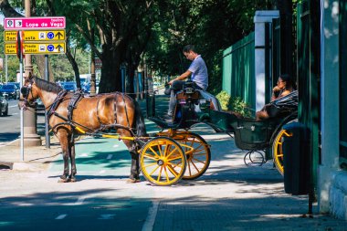 Seville İspanya 22 Eylül 2021 Coronavirüs salgını sırasında İspanya 'ya maske takarak at arabasıyla gitmek zorunludur.