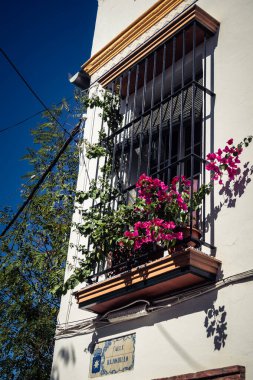 Carmona, İspanya, 11 Ekim 2025 Sokakları ve tarihi şehir merkezi Carmona 'nın dar ve pitoresk sokaklardan oluşan şehir manzarası.