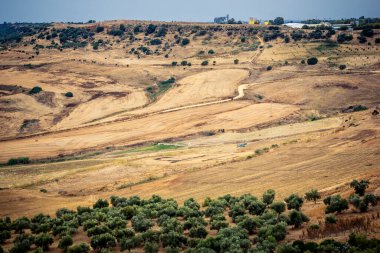 Carmona, İspanya, 28 Ekim 2025 Endülüs ovası. Bu bölge tarım, sığır yetiştiriciliği, zeytinyağı ve tahıl ekimi gibi tarım arazileriyle karakterize edilir..