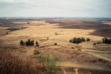 Carmona, İspanya, 28 Ekim 2025 Endülüs ovası. Bu bölge tarım, sığır yetiştiriciliği, zeytinyağı ve tahıl ekimi gibi tarım arazileriyle karakterize edilir..