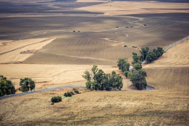 Carmona, İspanya, 28 Ekim 2025 Endülüs ovası. Bu bölge tarım, sığır yetiştiriciliği, zeytinyağı ve tahıl ekimi gibi tarım arazileriyle karakterize edilir..