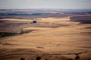 Carmona, İspanya, 28 Ekim 2025 Endülüs ovası. Bu bölge tarım, sığır yetiştiriciliği, zeytinyağı ve tahıl ekimi gibi tarım arazileriyle karakterize edilir..