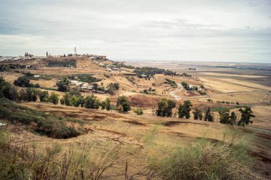 Carmona, İspanya, 28 Ekim 2025 Endülüs ovası. Bu bölge tarım, sığır yetiştiriciliği, zeytinyağı ve tahıl ekimi gibi tarım arazileriyle karakterize edilir..