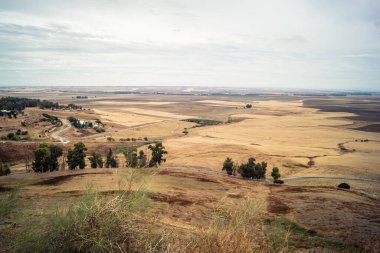 Carmona, İspanya, 28 Ekim 2025 Endülüs ovası. Bu bölge tarım, sığır yetiştiriciliği, zeytinyağı ve tahıl ekimi gibi tarım arazileriyle karakterize edilir..