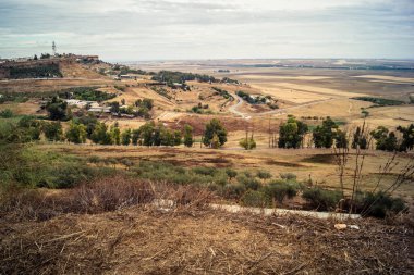 Carmona, İspanya, 28 Ekim 2025 Endülüs ovası. Bu bölge tarım, sığır yetiştiriciliği, zeytinyağı ve tahıl ekimi gibi tarım arazileriyle karakterize edilir..