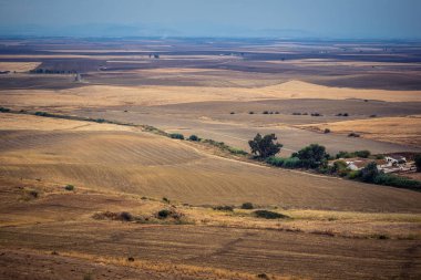 Carmona, İspanya, 28 Ekim 2025 Endülüs ovası. Bu bölge tarım, sığır yetiştiriciliği, zeytinyağı ve tahıl ekimi gibi tarım arazileriyle karakterize edilir..