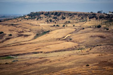 Carmona, İspanya, 28 Ekim 2025 Endülüs ovası. Bu bölge tarım, sığır yetiştiriciliği, zeytinyağı ve tahıl ekimi gibi tarım arazileriyle karakterize edilir..