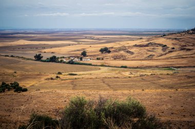 Carmona, İspanya, 28 Ekim 2025 Endülüs ovası. Bu bölge tarım, sığır yetiştiriciliği, zeytinyağı ve tahıl ekimi gibi tarım arazileriyle karakterize edilir..
