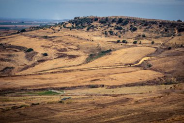 Carmona, İspanya, 28 Ekim 2025 Endülüs ovası. Bu bölge tarım, sığır yetiştiriciliği, zeytinyağı ve tahıl ekimi gibi tarım arazileriyle karakterize edilir..