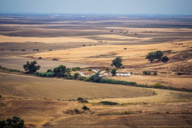 Carmona, İspanya, 28 Ekim 2025 Endülüs ovası. Bu bölge tarım, sığır yetiştiriciliği, zeytinyağı ve tahıl ekimi gibi tarım arazileriyle karakterize edilir..