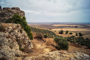 Carmona, İspanya, 28 Ekim 2025 Endülüs ovası. Bu bölge tarım, sığır yetiştiriciliği, zeytinyağı ve tahıl ekimi gibi tarım arazileriyle karakterize edilir..
