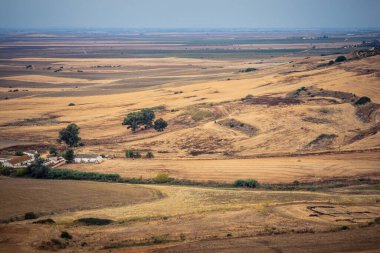Carmona, İspanya, 28 Ekim 2025 Endülüs ovası. Bu bölge tarım, sığır yetiştiriciliği, zeytinyağı ve tahıl ekimi gibi tarım arazileriyle karakterize edilir..