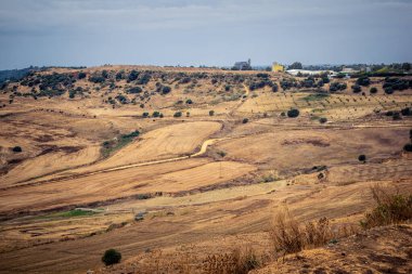 Carmona, İspanya, 28 Ekim 2025 Endülüs ovası. Bu bölge tarım, sığır yetiştiriciliği, zeytinyağı ve tahıl ekimi gibi tarım arazileriyle karakterize edilir..