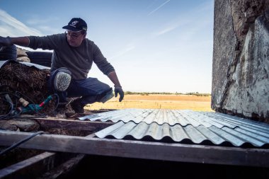 Carmona, İspanya, 13 Kasım 2025 İspanya 'nın Carmona köyü yakınlarındaki İspanyol çiftliğinde çalışan çiftçi..