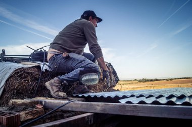 Carmona, İspanya, 13 Kasım 2025 İspanya 'nın Carmona köyü yakınlarındaki İspanyol çiftliğinde çalışan çiftçi..