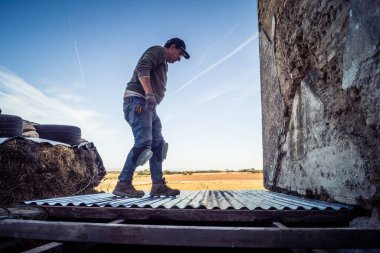 Carmona, İspanya, 13 Kasım 2025 İspanya 'nın Carmona köyü yakınlarındaki İspanyol çiftliğinde çalışan çiftçi..