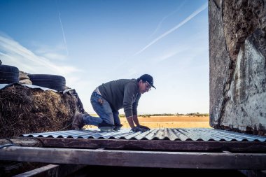 Carmona, İspanya, 13 Kasım 2025 İspanya 'nın Carmona köyü yakınlarındaki İspanyol çiftliğinde çalışan çiftçi..