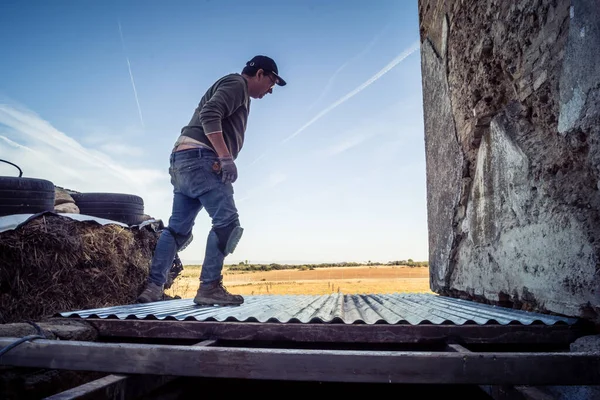 Carmona, İspanya, 13 Kasım 2025 İspanya 'nın Carmona köyü yakınlarındaki İspanyol çiftliğinde çalışan çiftçi..