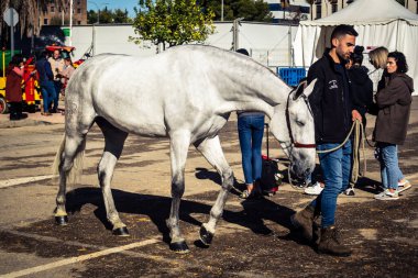 Seville, İspanya, 18 Kasım 2025 Rider ve at Sevilla 'daki Uluslararası At Gösterisi' nde. 350 'den fazla üreticisi olan İspanyol atları dünyanın en büyük sergisi..