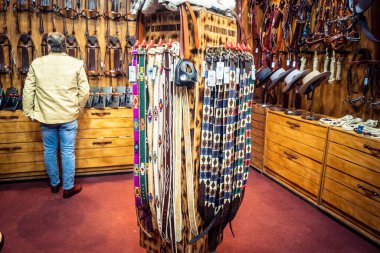 Seville, İspanya, 18 Kasım 2025 Seville Uluslararası At Fuarı 'nda (SICAB) binicilik atölyesi. Dünyanın en büyük İspanyol atları sergisi 350 'den fazla üreticiyi bir araya getirdi..