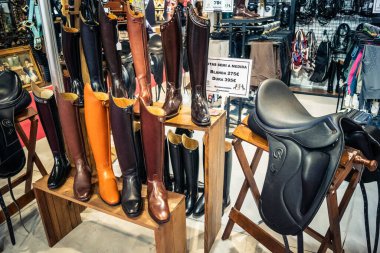 Seville, İspanya, 18 Kasım 2025 Seville Uluslararası At Fuarı 'nda (SICAB) binicilik atölyesi. Dünyanın en büyük İspanyol atları sergisi 350 'den fazla üreticiyi bir araya getirdi..