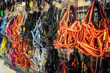 Seville, İspanya, 18 Kasım 2025 Seville Uluslararası At Fuarı 'nda (SICAB) binicilik atölyesi. Dünyanın en büyük İspanyol atları sergisi 350 'den fazla üreticiyi bir araya getirdi..