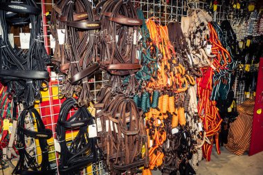 Seville, İspanya, 18 Kasım 2025 Seville Uluslararası At Fuarı 'nda (SICAB) binicilik atölyesi. Dünyanın en büyük İspanyol atları sergisi 350 'den fazla üreticiyi bir araya getirdi..