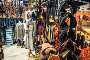 Seville, İspanya, 18 Kasım 2025 Seville Uluslararası At Fuarı 'nda (SICAB) binicilik atölyesi. Dünyanın en büyük İspanyol atları sergisi 350 'den fazla üreticiyi bir araya getirdi..