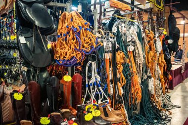 Seville, İspanya, 18 Kasım 2025 Seville Uluslararası At Fuarı 'nda (SICAB) binicilik atölyesi. Dünyanın en büyük İspanyol atları sergisi 350 'den fazla üreticiyi bir araya getirdi..