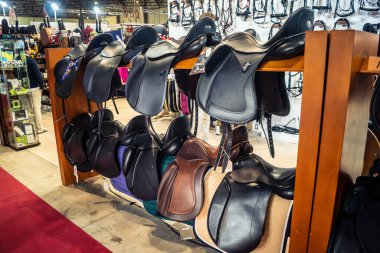 Seville, İspanya, 18 Kasım 2025 Seville Uluslararası At Fuarı 'nda (SICAB) binicilik atölyesi. Dünyanın en büyük İspanyol atları sergisi 350 'den fazla üreticiyi bir araya getirdi..