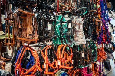 Seville, İspanya, 18 Kasım 2025 Seville Uluslararası At Fuarı 'nda (SICAB) binicilik atölyesi. Dünyanın en büyük İspanyol atları sergisi 350 'den fazla üreticiyi bir araya getirdi..