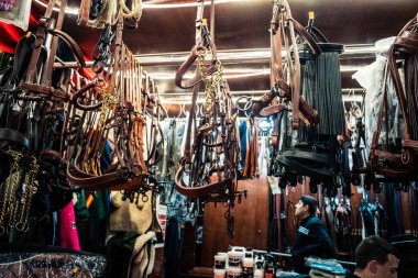 Seville, İspanya, 18 Kasım 2025 Seville Uluslararası At Fuarı 'nda (SICAB) binicilik atölyesi. Dünyanın en büyük İspanyol atları sergisi 350 'den fazla üreticiyi bir araya getirdi..