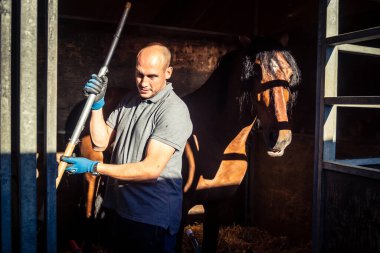 Seville, İspanya, 18 Kasım 2025 Uluslararası At Gösterisi, SICAB, 18-23 Kasım tarihleri arasında Sevilla 'da. 350 'den fazla üreticisi olan İspanyol atları dünyanın en büyük sergisi..