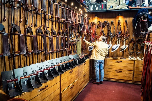 Seville, İspanya, 18 Kasım 2025 Seville Uluslararası At Fuarı 'nda (SICAB) binicilik atölyesi. Dünyanın en büyük İspanyol atları sergisi 350 'den fazla üreticiyi bir araya getirdi..