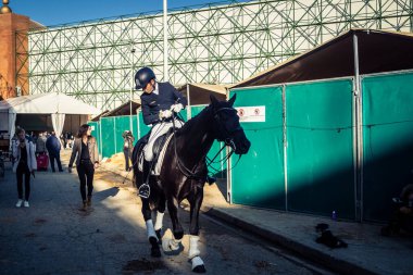 Seville, İspanya, 20 Kasım 2025 Rider ve at Sevilla 'daki Uluslararası At Gösterisi' nde. 350 'den fazla üreticisi olan İspanyol atları dünyanın en büyük sergisi..