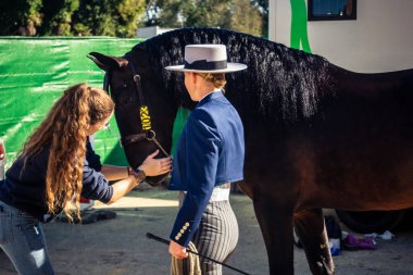Seville, İspanya, 20 Kasım 2025 Rider ve at Sevilla 'daki Uluslararası At Gösterisi' nde. 350 'den fazla üreticisi olan İspanyol atları dünyanın en büyük sergisi..