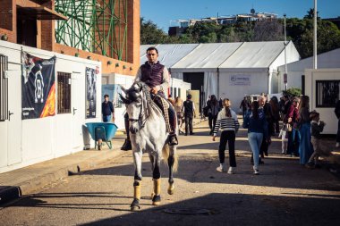 Seville, İspanya, 20 Kasım 2025 Rider ve at Sevilla 'daki Uluslararası At Gösterisi' nde. 350 'den fazla üreticisi olan İspanyol atları dünyanın en büyük sergisi..