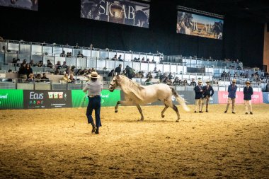 Seville, İspanya, 20 Kasım 2025 Uluslararası At Gösterisi, SICAB, Sevilla. 350 'den fazla üreticisi olan İspanyol atları dünyanın en büyük sergisi..