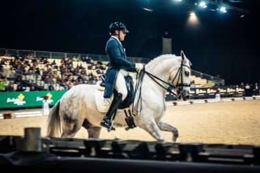 Seville, İspanya, 20 Kasım 2025. Sevilla 'daki Uluslararası At Fuarı, SICAB' de yarışma. 350 'den fazla üreticisi olan İspanyol atları dünyanın en büyük sergisi..