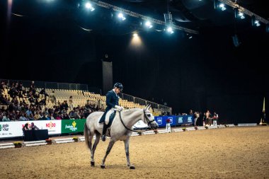 Seville, İspanya, 20 Kasım 2025. Sevilla 'daki Uluslararası At Fuarı, SICAB' de yarışma. 350 'den fazla üreticisi olan İspanyol atları dünyanın en büyük sergisi..