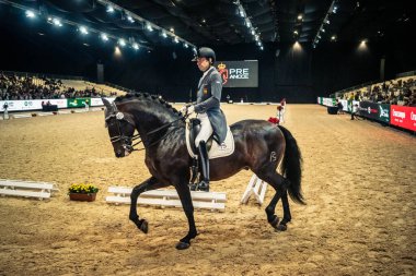 Seville, İspanya, 20 Kasım 2025. Sevilla 'daki Uluslararası At Fuarı, SICAB' de yarışma. 350 'den fazla üreticisi olan İspanyol atları dünyanın en büyük sergisi..