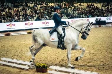 Seville, İspanya, 20 Kasım 2025. Sevilla 'daki Uluslararası At Fuarı, SICAB' de yarışma. 350 'den fazla üreticisi olan İspanyol atları dünyanın en büyük sergisi..