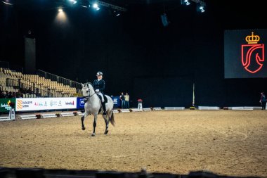 Seville, İspanya, 20 Kasım 2025. Sevilla 'daki Uluslararası At Fuarı, SICAB' de yarışma. 350 'den fazla üreticisi olan İspanyol atları dünyanın en büyük sergisi..