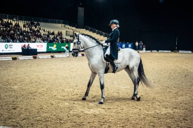 Seville, İspanya, 20 Kasım 2025. Sevilla 'daki Uluslararası At Fuarı, SICAB' de yarışma. 350 'den fazla üreticisi olan İspanyol atları dünyanın en büyük sergisi..
