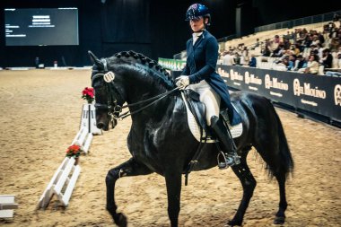 Seville, İspanya, 20 Kasım 2025. Sevilla 'daki Uluslararası At Fuarı, SICAB' de yarışma. 350 'den fazla üreticisi olan İspanyol atları dünyanın en büyük sergisi..