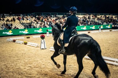 Seville, İspanya, 20 Kasım 2025. Sevilla 'daki Uluslararası At Fuarı, SICAB' de yarışma. 350 'den fazla üreticisi olan İspanyol atları dünyanın en büyük sergisi..