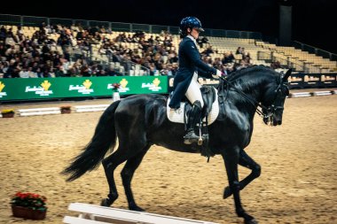 Seville, İspanya, 20 Kasım 2025. Sevilla 'daki Uluslararası At Fuarı, SICAB' de yarışma. 350 'den fazla üreticisi olan İspanyol atları dünyanın en büyük sergisi..